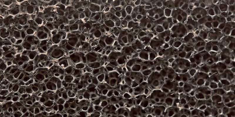 eco-holding-eco-carbon-biological-texture